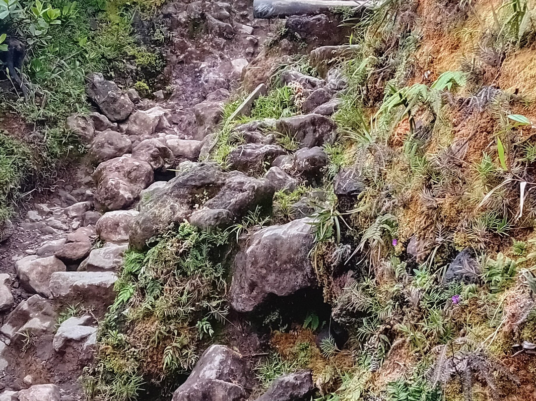 La Soufriere Volcano-Saint-Claude必去景点