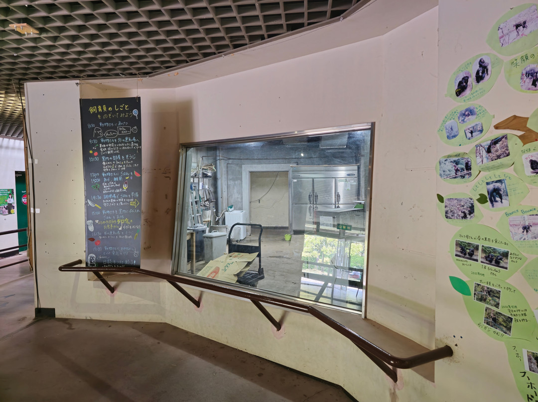 Awajishima Monkey Center-洲本市必去景点