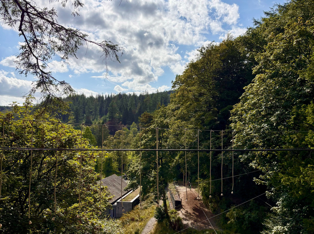 Go Ape Grizedale-Hawkshead必去景点