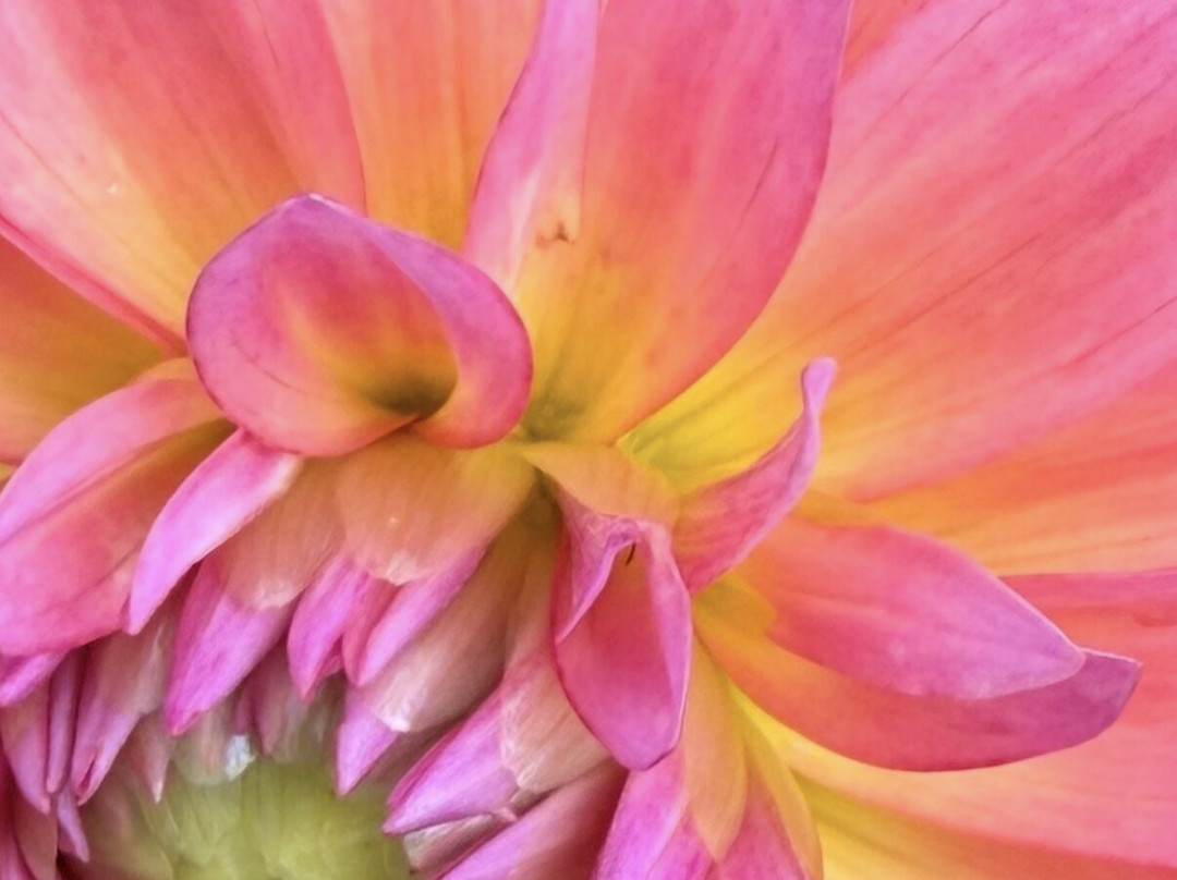 Pittsburgh Botanic Garden-Oakdale必去景点