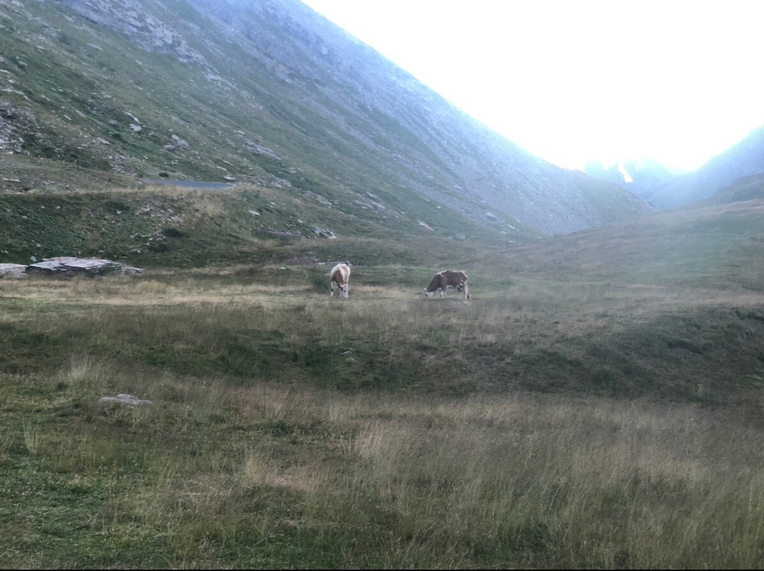 Colle dell'Agnello-Pontechianale必去景点