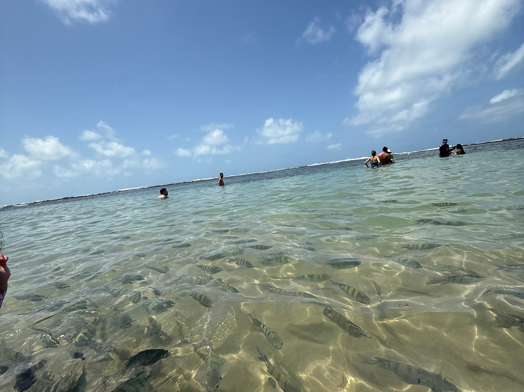 Cupe beach-嘎林海斯港必去景点