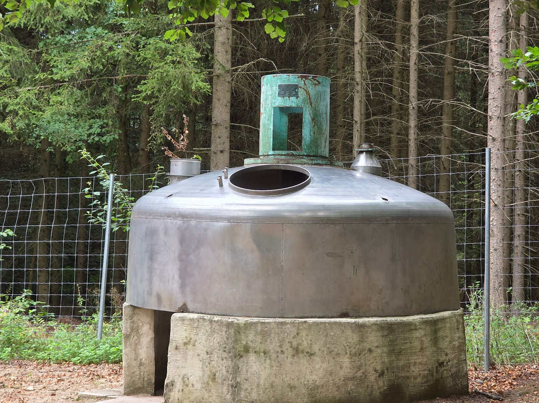 Ausflugspark am Steinbruchsee-Furth im Wald必去景点