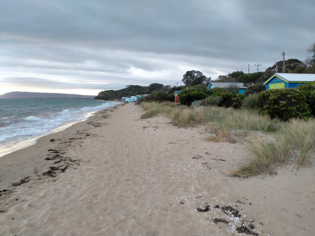 Whitecliffs Foreshore Reserve