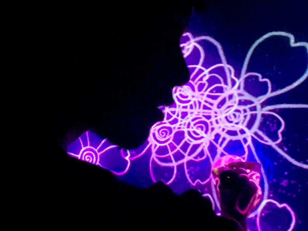 teamLab Planets TOKYO-Toyosu必去景点