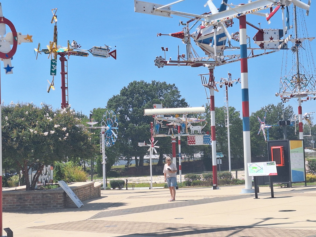 Vollis Simpson Whirligig Park-威尔逊必去景点