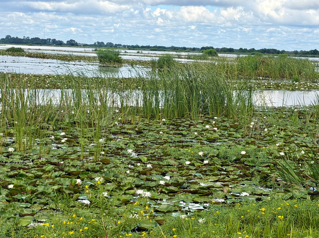 Savannah National Wildlife Refuge-Hardeeville必去景点