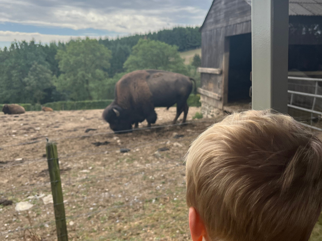 Parc Animalier De Rochehaut-Rochehaut必去景点