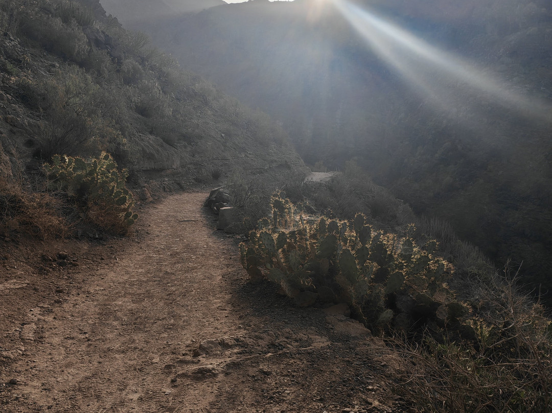 Barranco Del Infierno-奥德杰海岸必去景点