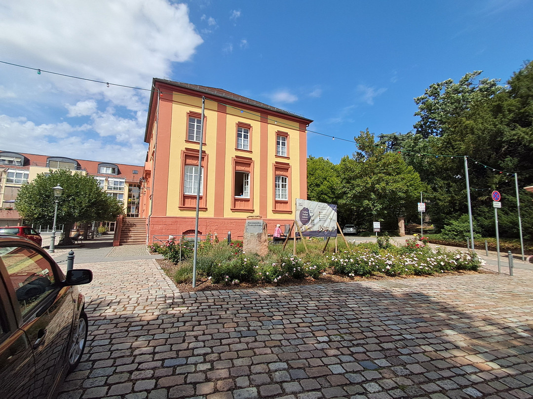 Schlossgarten Kirchheimbolanden-Kirchheimbolanden必去景点