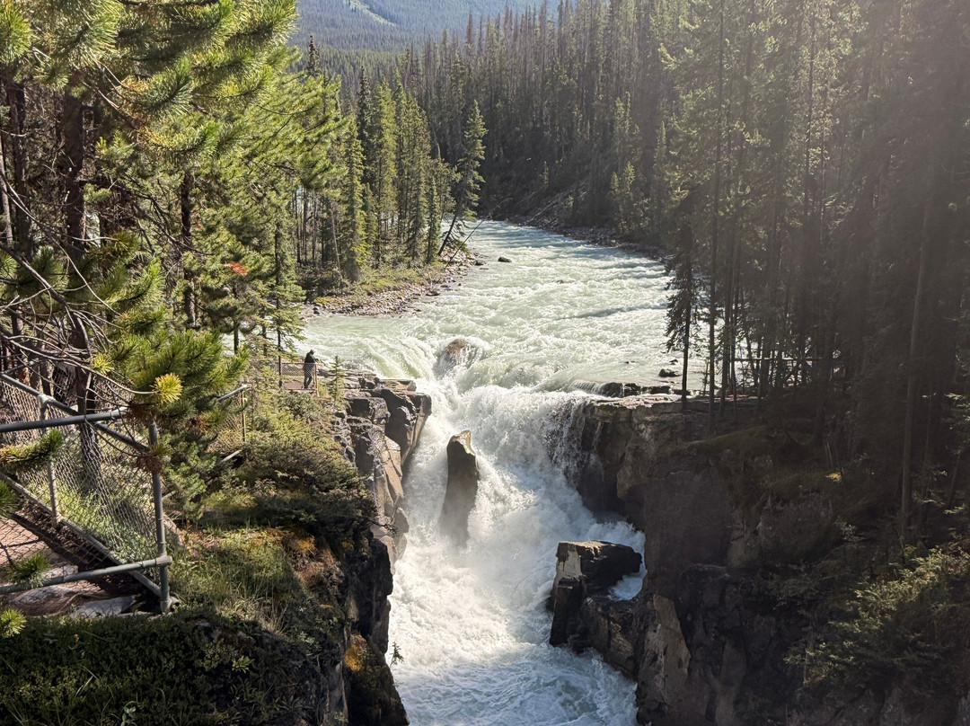 Sunwapta Falls and Canyon-贾斯珀国家公园必去景点
