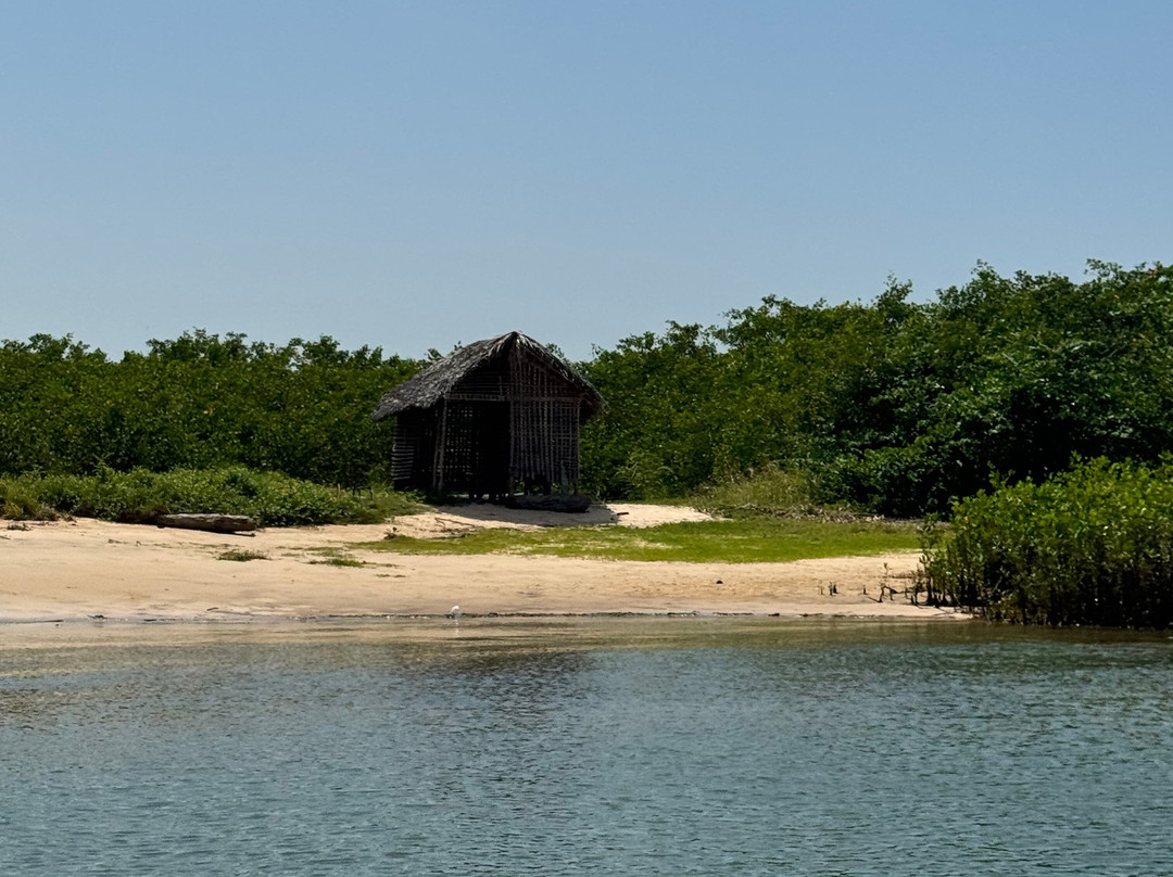 Passeios a Foz do Rio São Francisco - DR TOUR-Piacabucu必去景点