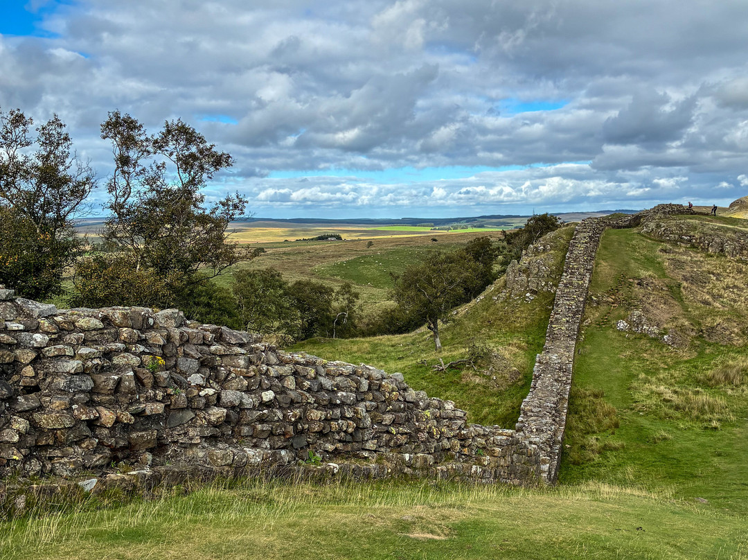 Hadrian's Wall-纽卡斯尔必去景点
