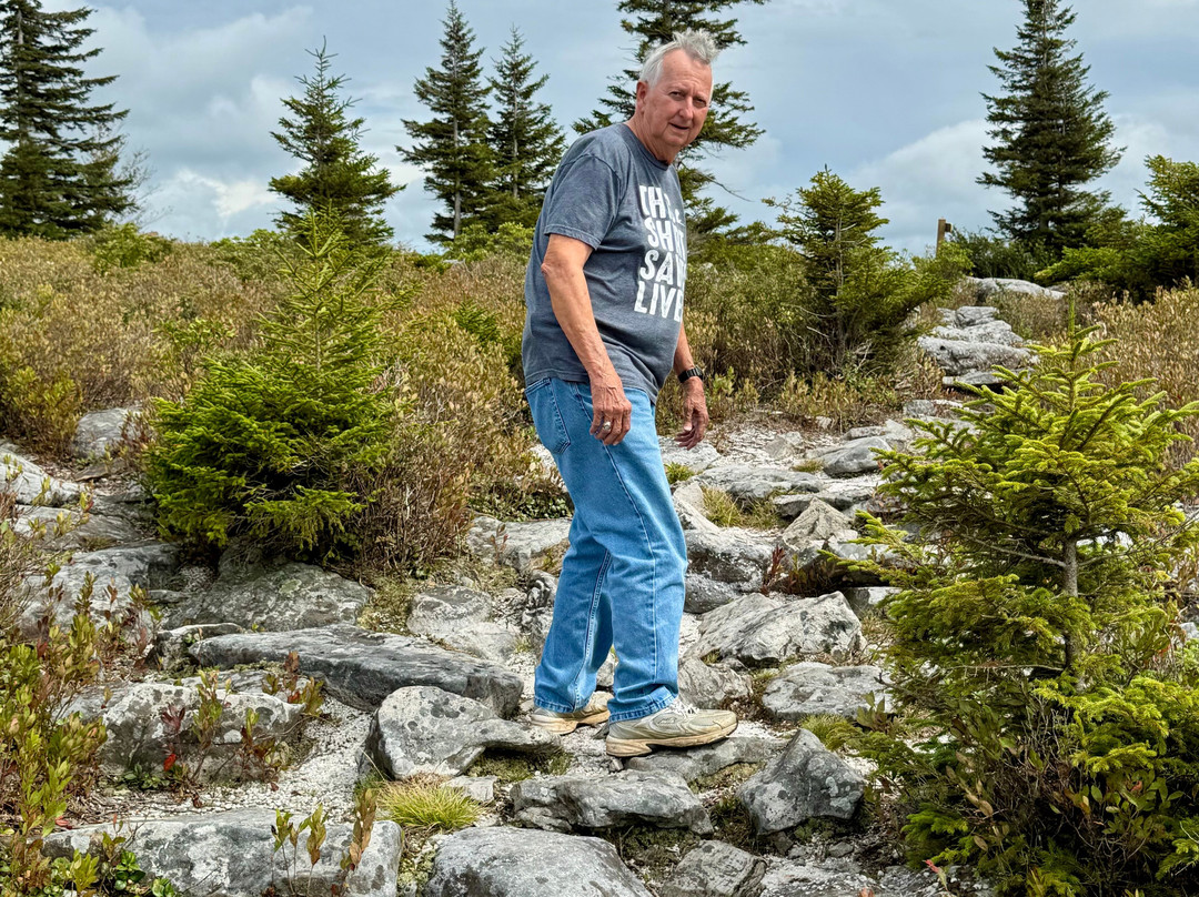 Bear Rocks Preserve-戴维斯必去景点