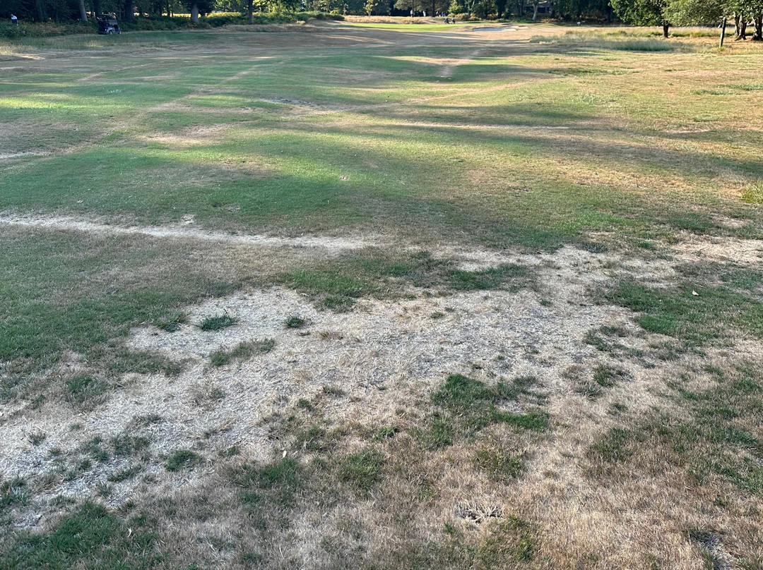 Brokenhurst Manor Golf Club-Brockenhurst必去景点