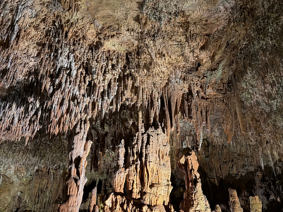 Grand Caverns-Grottoes必去景点