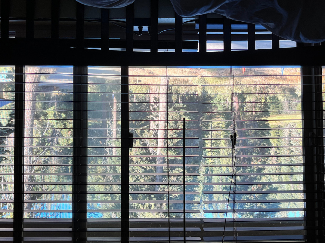 蒙特西托红杉小屋主图