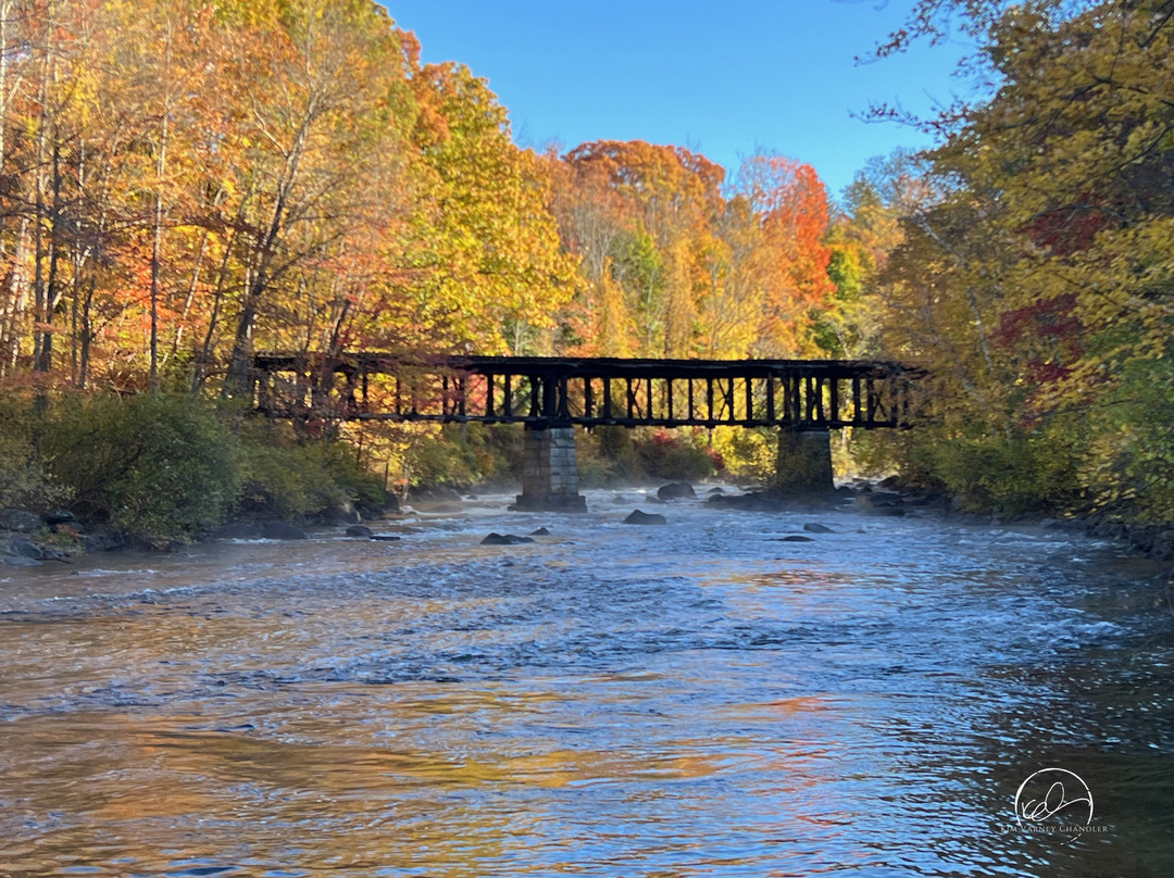 Sulphite Covered Bridge-Franklin必去景点
