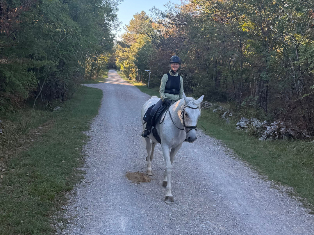Lipica Stud Farm - Kobilarna Lipica-Lipica必去景点