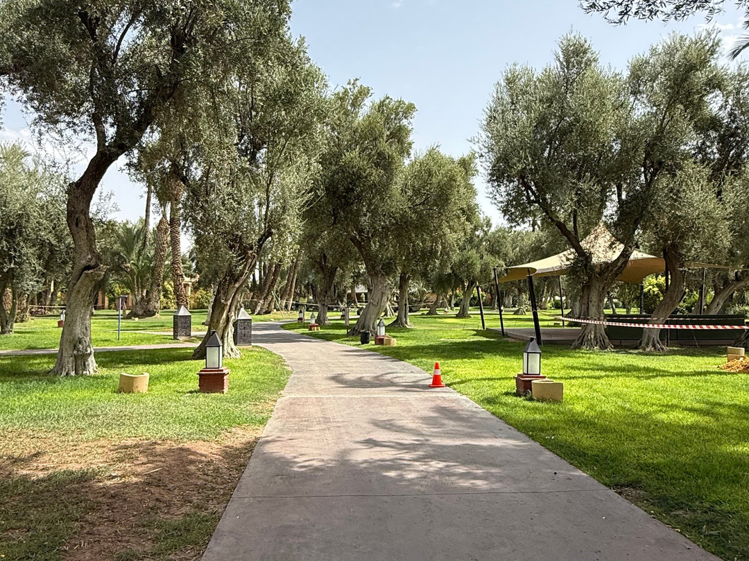 Club Med Marrakech la Palmeraie主图