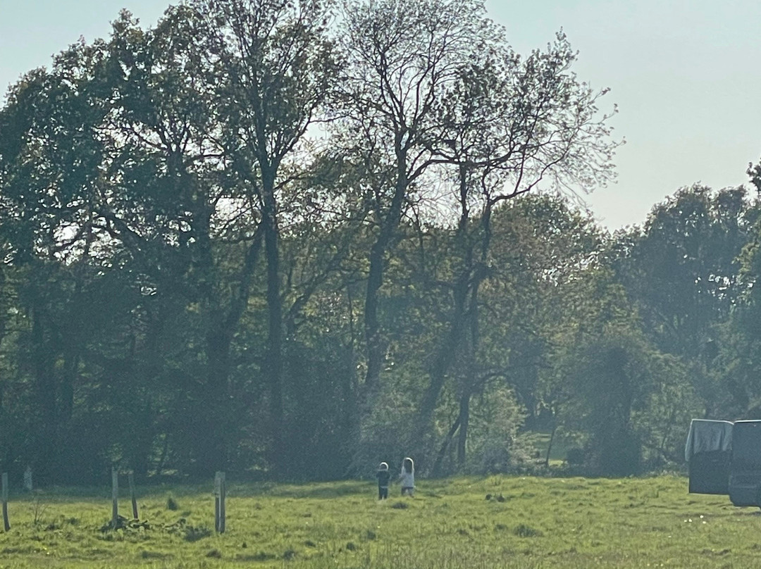 Stoneywish Nature Reserve-Ditchling必去景点
