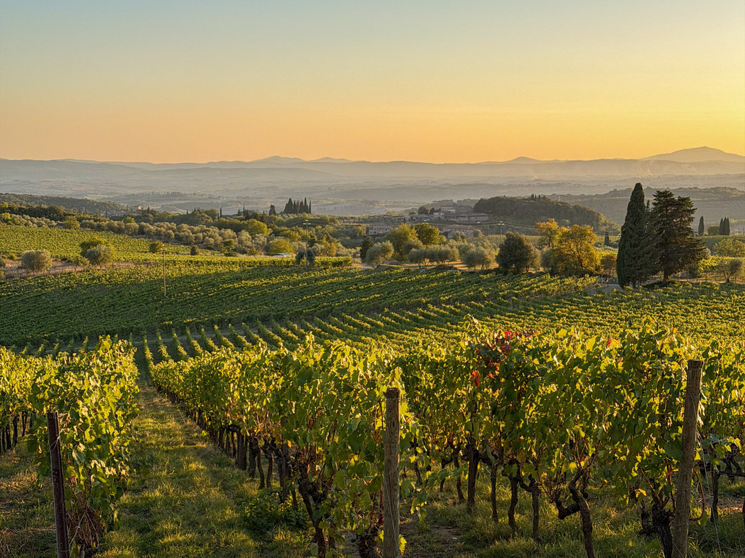 Tours in Tuscany-Murlo必去景点