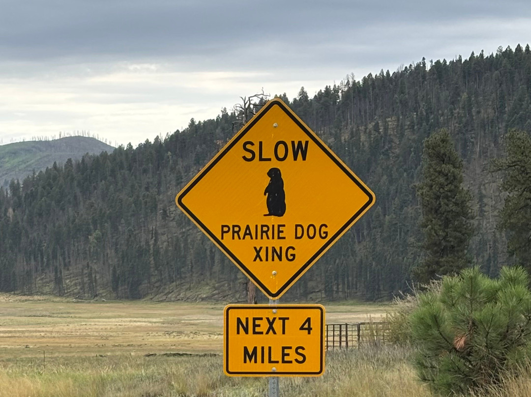 Valles Caldera National Preserve-Jemez Springs必去景点