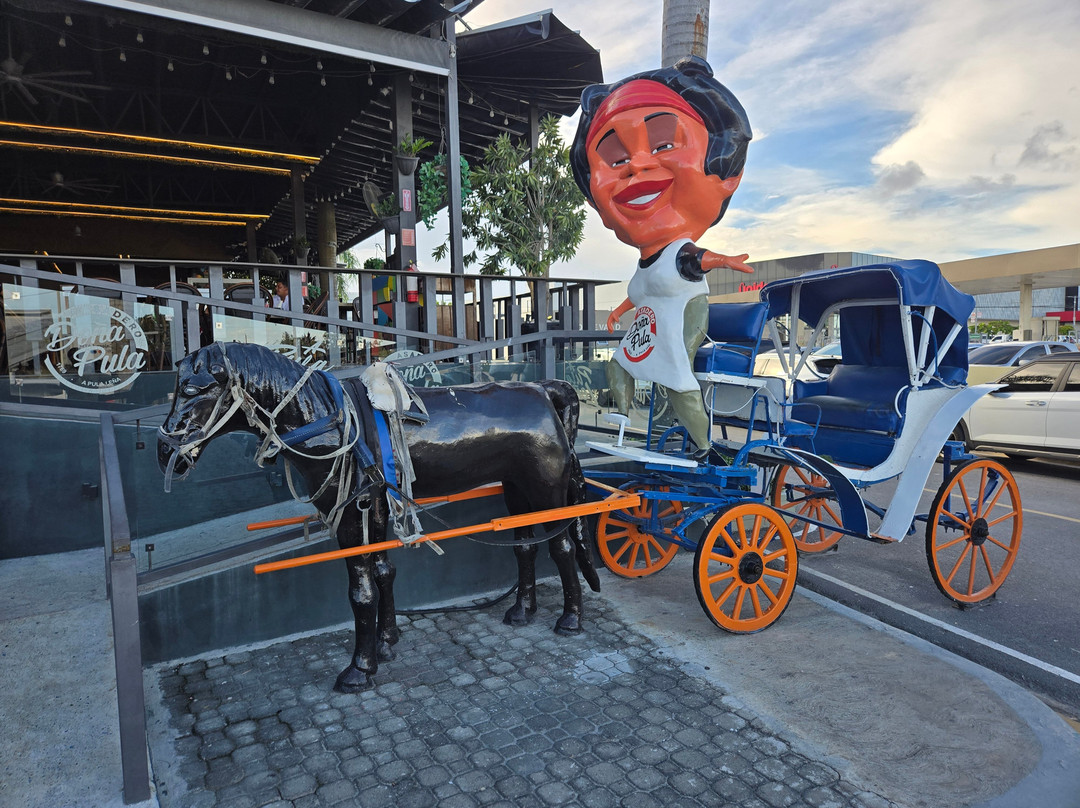 Asadero Doña Pula Punta Cana