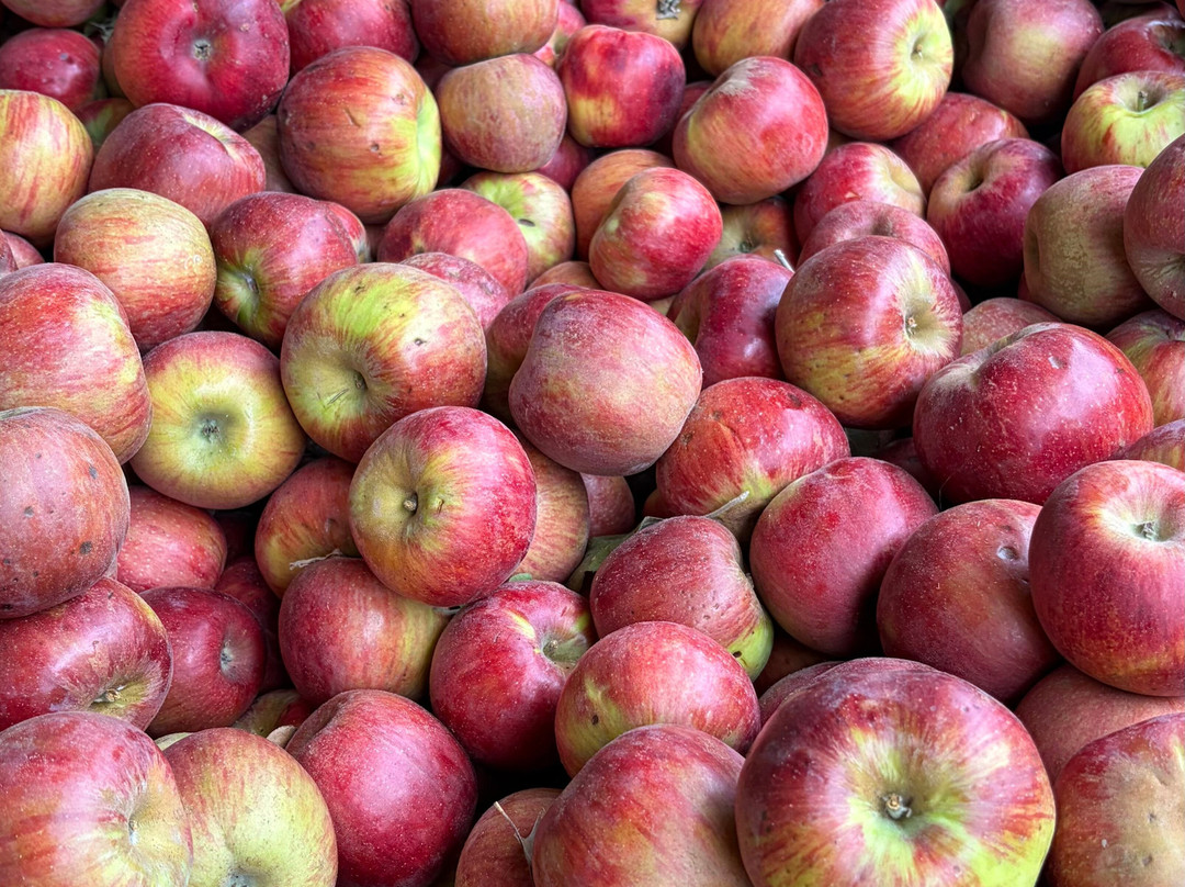 Boa Vista Orchards-普莱瑟维尔必去景点