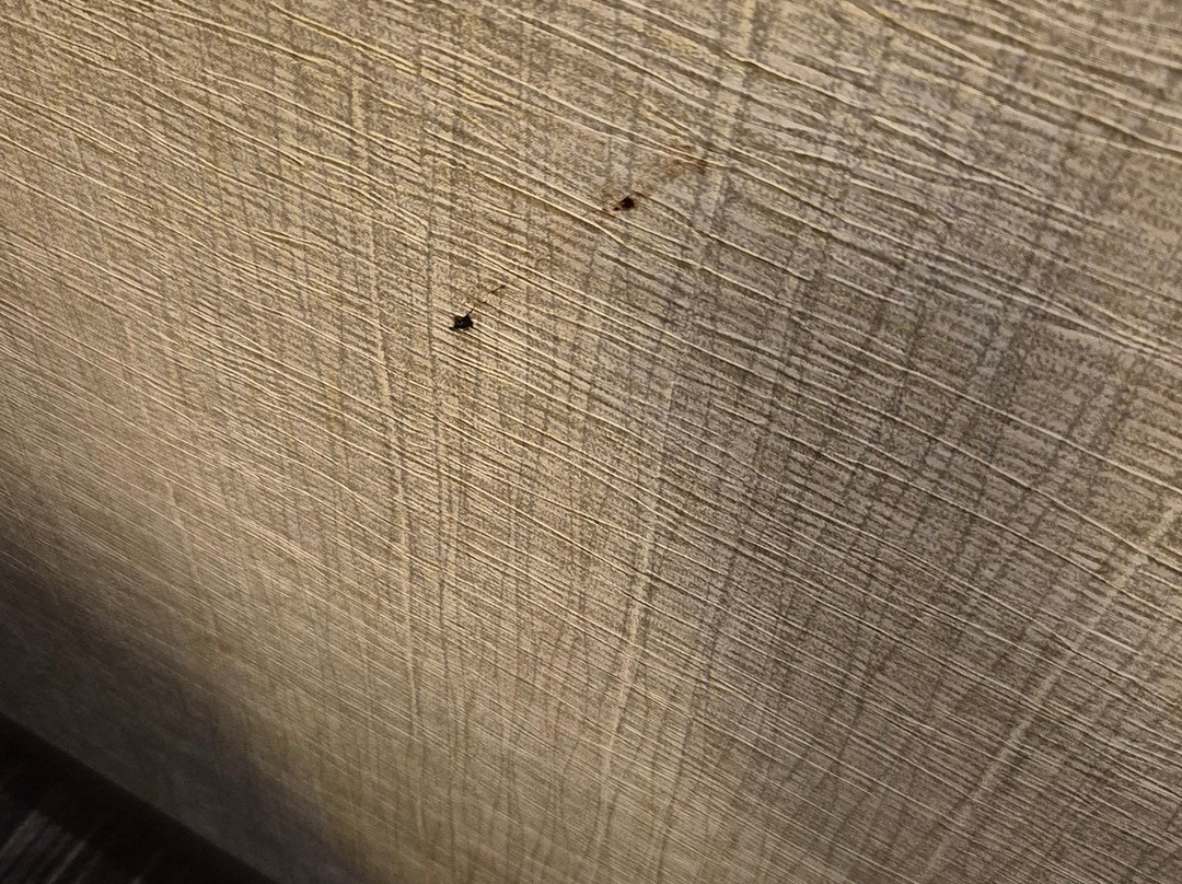 登山小屋主图