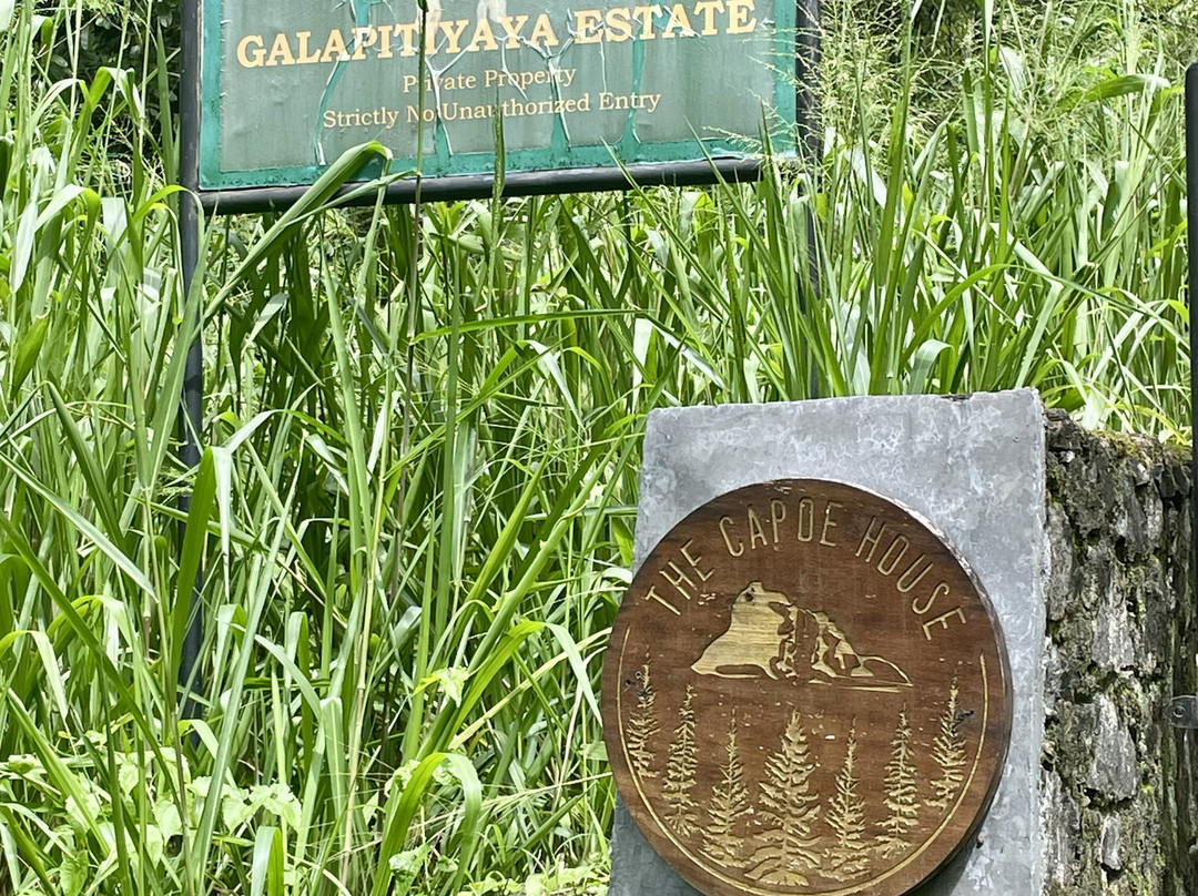The Capoe House主图