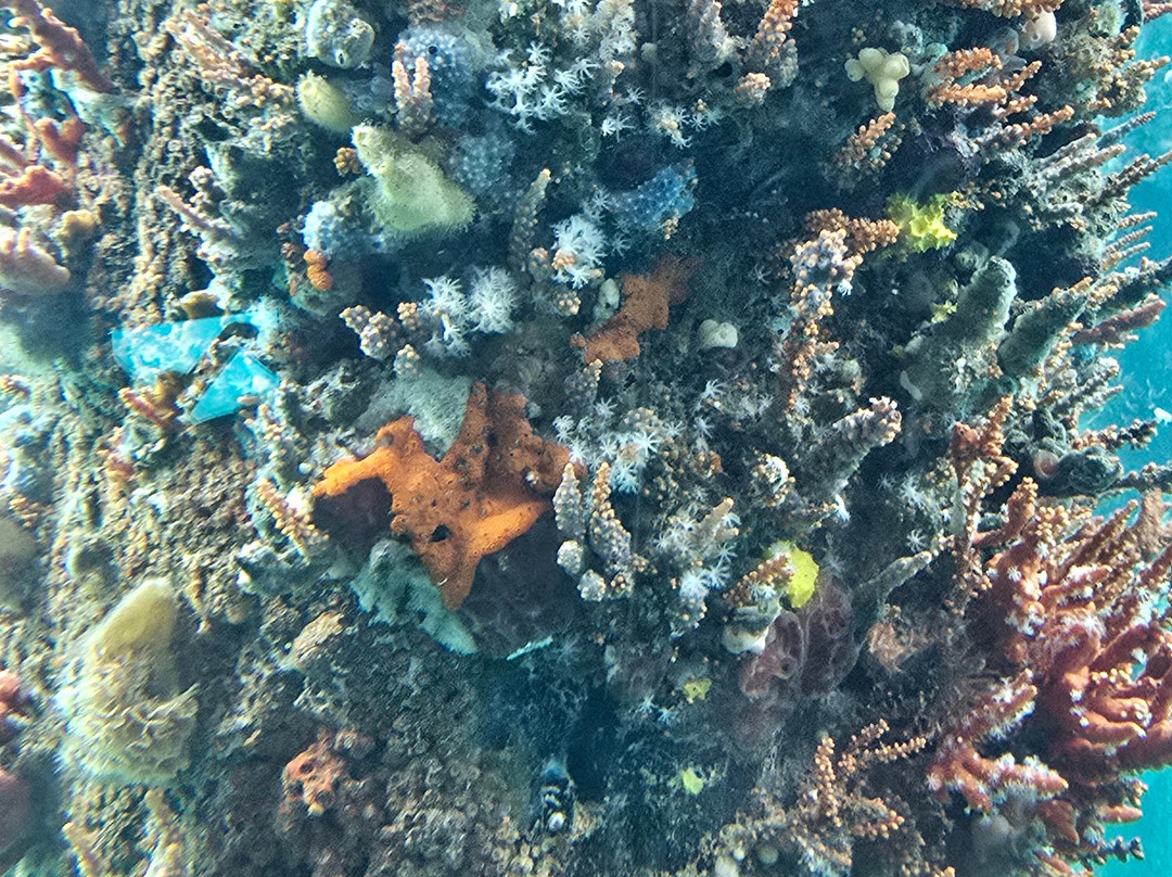 Busselton Jetty-巴瑟尔顿必去景点