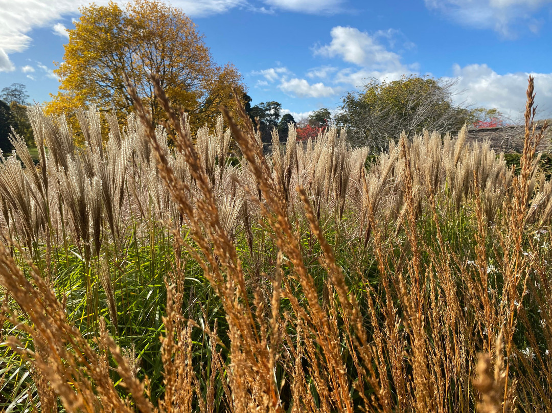 Raby Castle, Park And Gardens-Staindrop必去景点