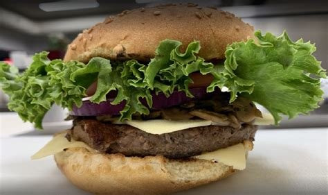 New Burger Planet Inc.
