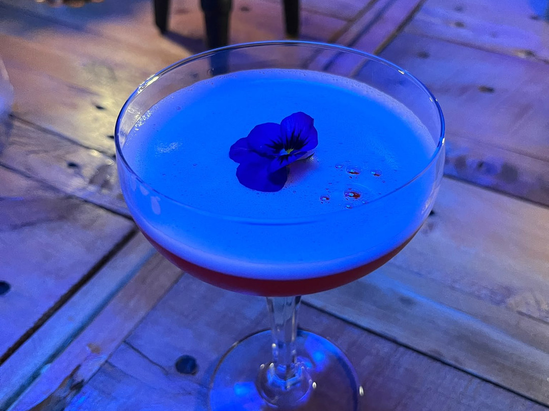 Elixer Room-海牙必去景点