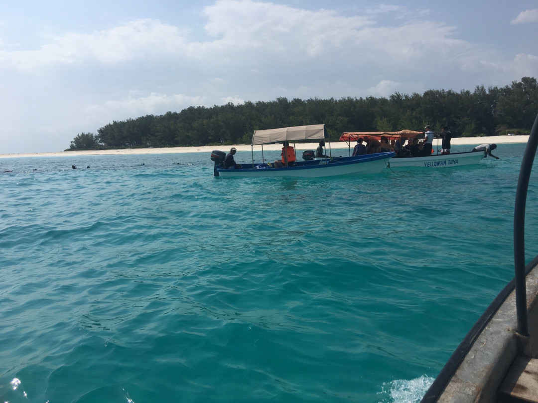 Snorkelling Zanzibar Tours Company Limited景点图片