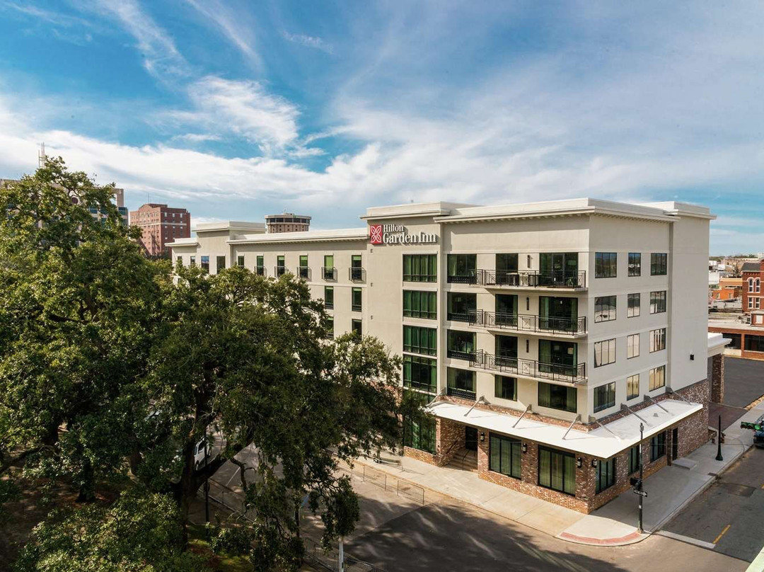Hilton Garden Inn Mobile Downtown主图