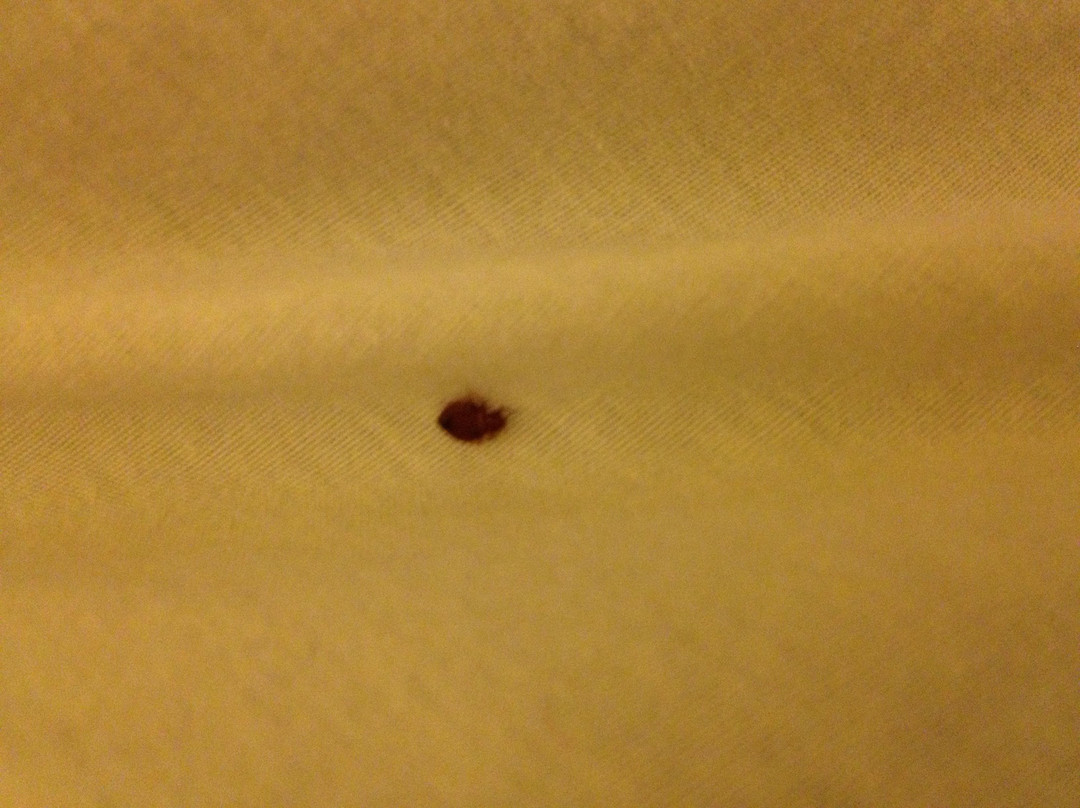 Knights Inn New Castle/Wilmington