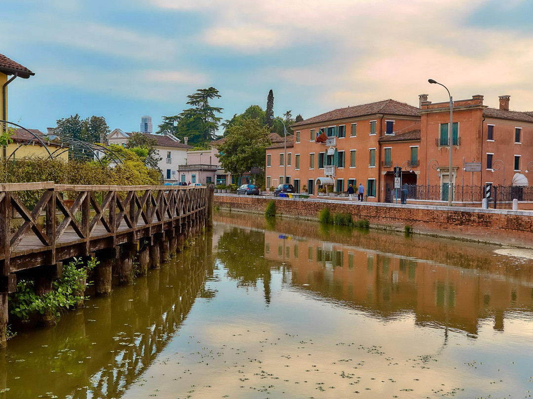 Mira酒店住宿-Riviera dei Dogi Hotel