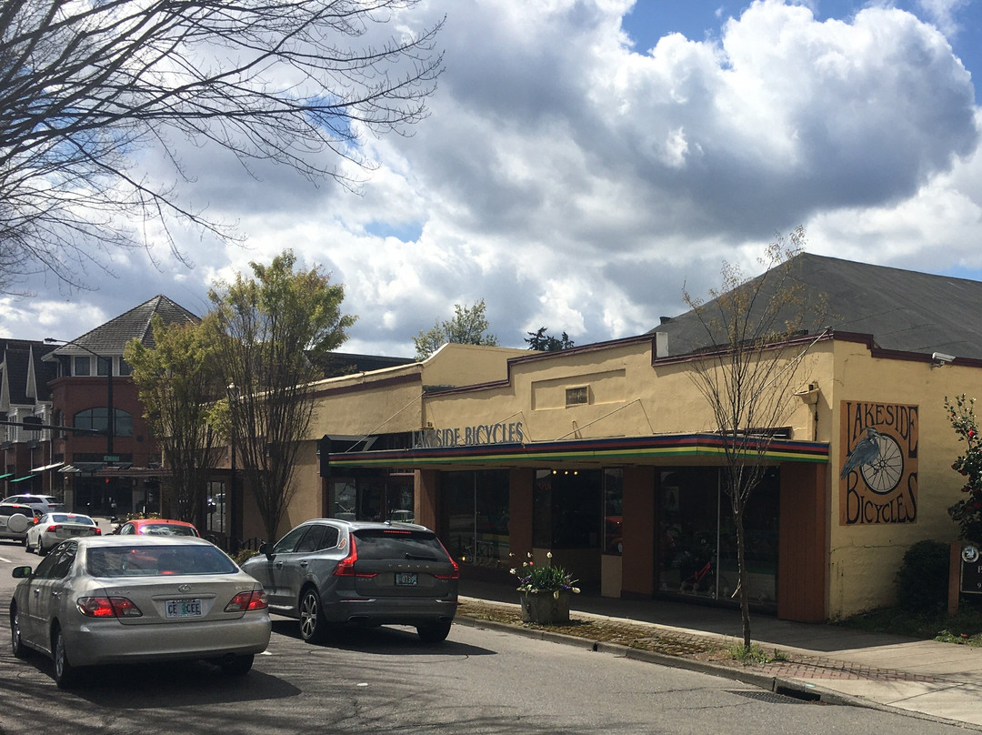 Lakeside Bicycles-莱克奥斯韦戈必去景点