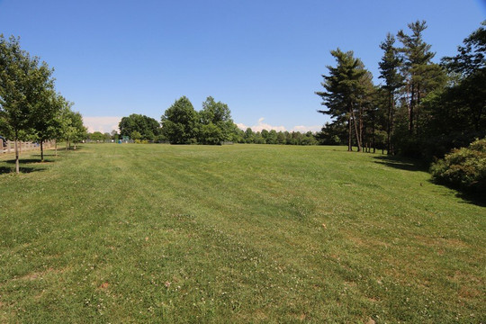 Burgoyne Woods Park-圣凯瑟琳斯必去景点