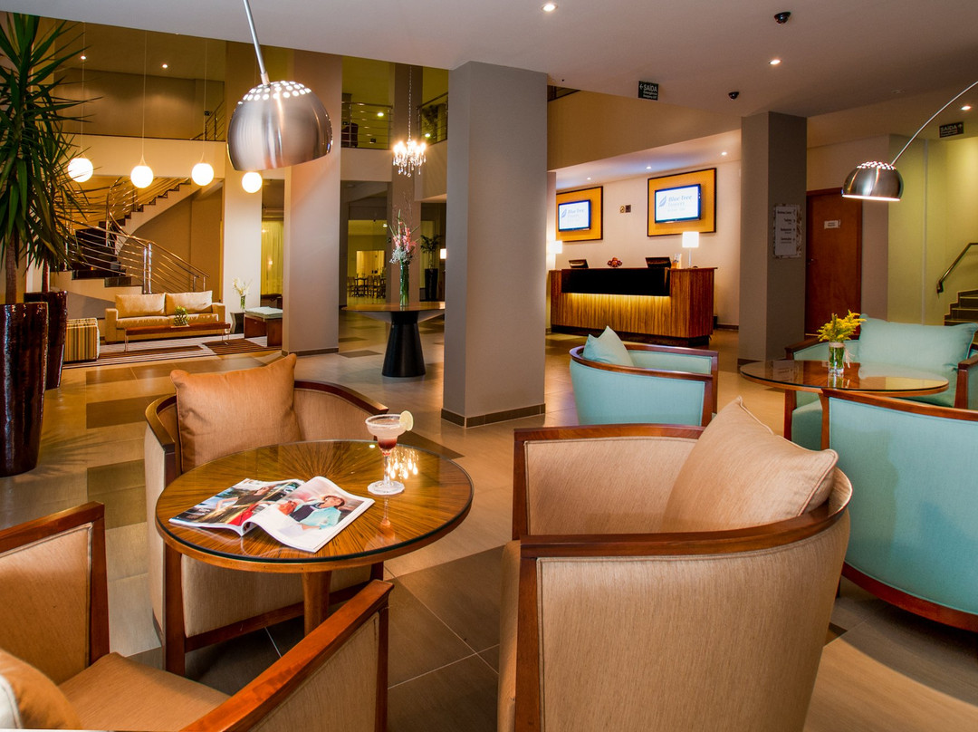戈亚斯州酒店住宿-Infinity Hotels Rio Verde