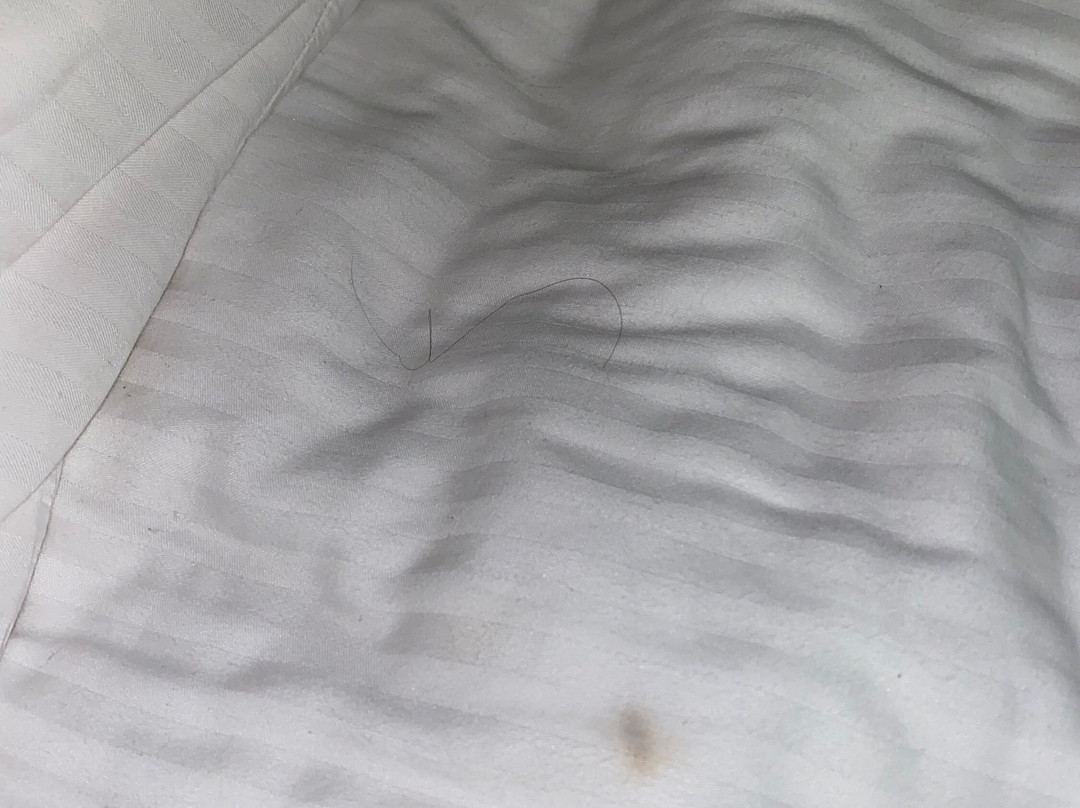 La Quinta by Wyndham Berkeley主图