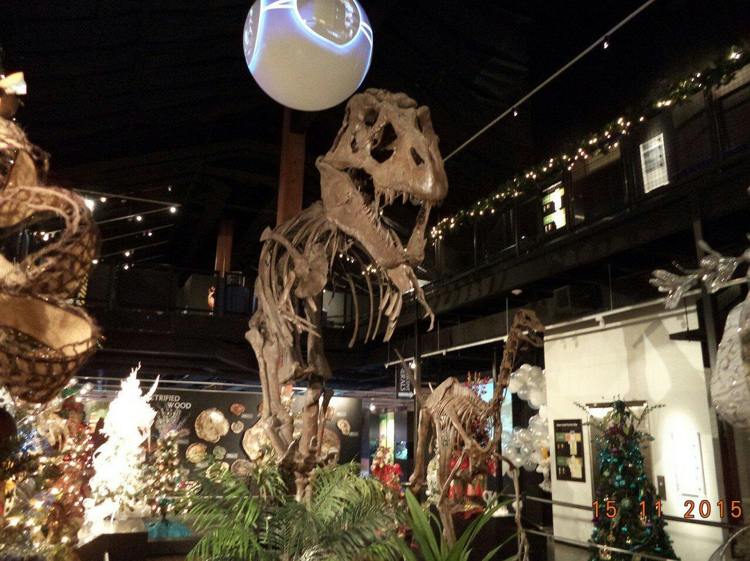 舒格兰旅游景点-Houston Museum of Natural Science at Sugar Land