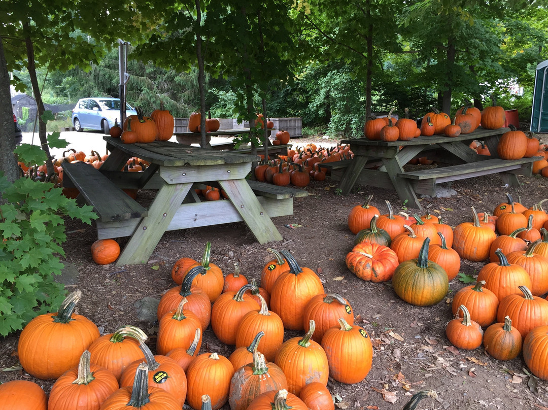 Foster旅游景点-Barden Family Orchard