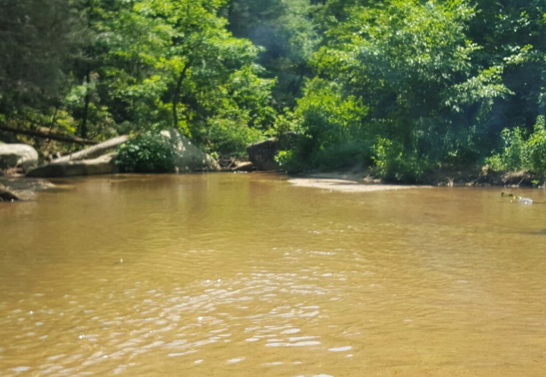 Long Shoals Wayside Park景点图片