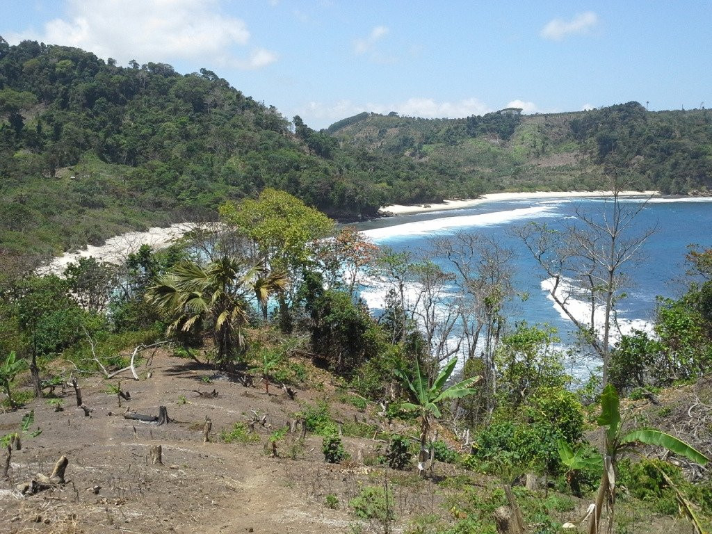 Sanggar Beach景点图片