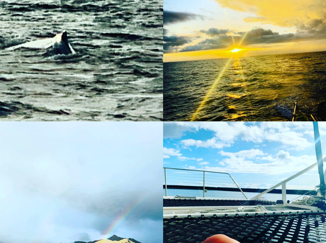 Hawaii Nautical - Oahu-火奴鲁鲁必去景点