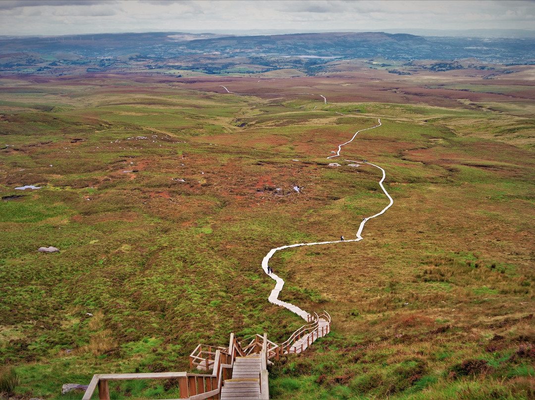 Cuilcagh Boardwalk Trail (Stairway to Heaven)-恩尼斯基林必去景点