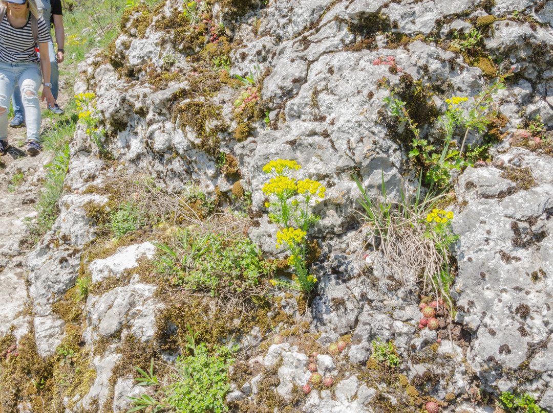 Jaskinia Przeginska-Czernichow必去景点